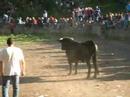 LAVALENGUAS 2008 - SANJUANEANDO.COM