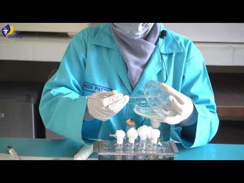 Praktikum Mikrobiologi: Percobaan 7 (Uji Aktivitas Metode Difusi Agar - Sumuran)
