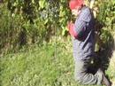 Nova Scotia Outdoors - Basic Sapling Snare