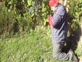 Nova Scotia Outdoors - Basic Sapling Snare