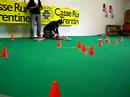 RCDTI Drift Team Italia