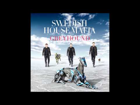 Greyhound Swedish House Mafia