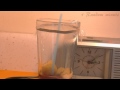 Fruit fly trap in action (Timelapse)