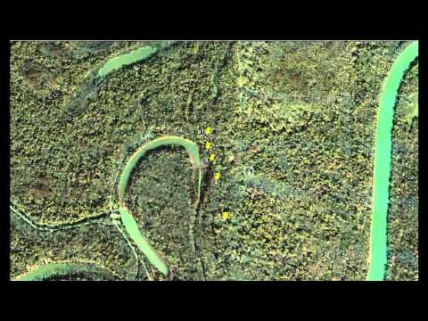 how to locate big bucks