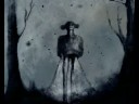 Swallow the Sun: Plague of Butterflies TEASER