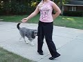 There is a river - Hebraic dance choreography There is a river - Hebraic dance choreography