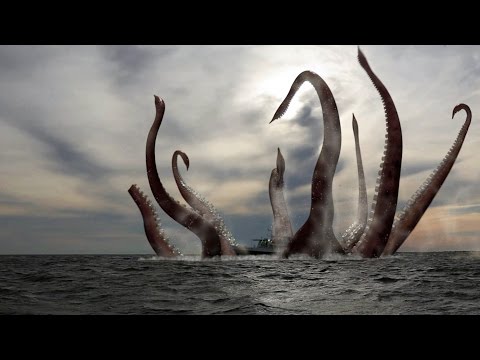 [Doku] Unternehmen Oktopus - Vorstoß ins Reich der Riesenkraken [HD]