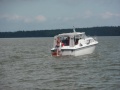 Midsommar 2007, Slandökalv