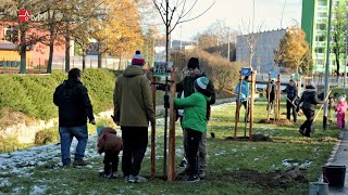 Alej mikroregionu Mohelnicko je na světě!