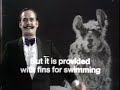 Monty Python - Llamas