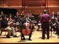 FRAN MORAL CELLO