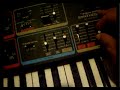 Moog Realistic MG-1 (genuine 24dB/oct Moog filter)