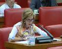 UPyD en el Congreso 4 (1� parte)