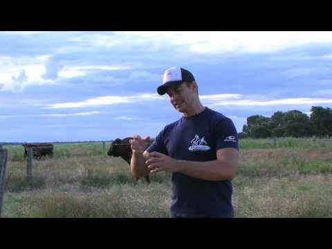 how to help qld farmers