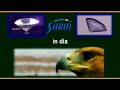 Sarin - Diamond Grading - The DiaScan S+ - Sarin