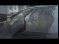 Toyota Ads Toyota Ads