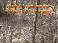 Rabbit Hunting with beagles Bradford Pa Rabbit Hunting with beagles Bradford Pa