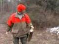 Rabbit Hunting with beagles Bradford Pa