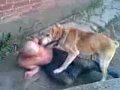 бобик иди нахуй.flv