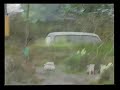 Escort Cosworth-Fastnet Stages Rally 1995