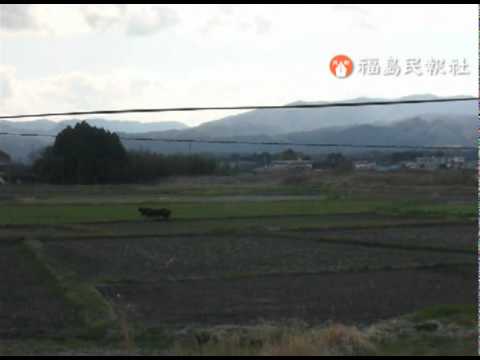 県警による双葉町・浪江町での捜索（４月２５日）[12]