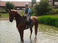 allemagne 2008