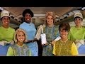 Special Flight Attendant Tribute