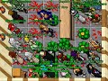 tibia fortera