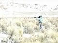 Rabbit Hunt POV camera