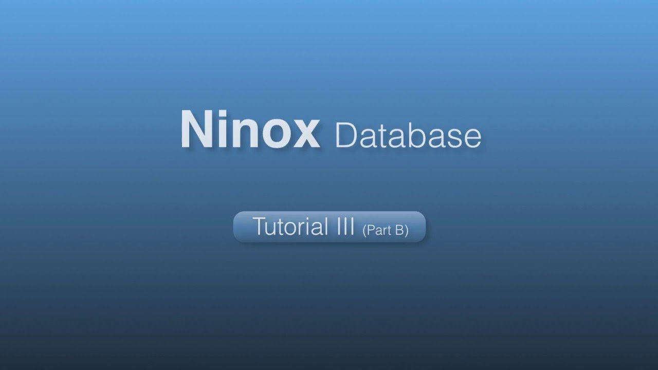 Ninox-Partner