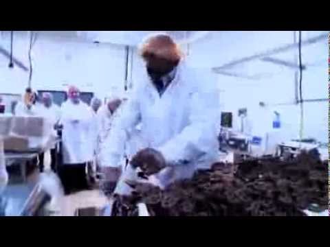 September 13 - Steve's Part Time Job In A Chocolate Factory