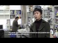 Low-Cadmium Rice Through Genetic Modification #DigInfo