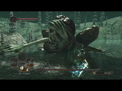 SL1 Demon of Song, Dark Souls 2: SotFS