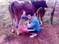 Fazenda Boágua