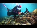 SeaLife Underwater Cameras Diving Indonesia ...