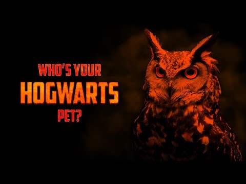 What Pet Would You Have At Hogwarts?