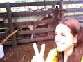 Fazenda- Capando boi