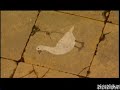 logroño  una ciudad para el siglo xxi  parte3/3