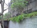 The Lalu hotel at Sun Moon Lake (Travel Aisa-Taiwan)日月潭涵碧楼酒店