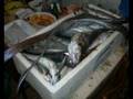 pesca miracolosa a largo di cornino....