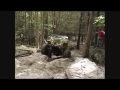 YCP 4X4 67 CJ-5