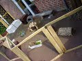 Kaninchen - Gl�cklich?