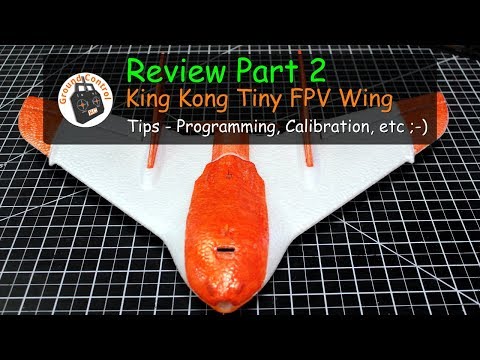 Review Part2 - KK/LDARC Tiny Wing 450 from Banggood - Programming, Calibration, & More!
