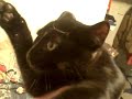 Flyboy Rocco Rock vs. the Recliner and Rocco loses
