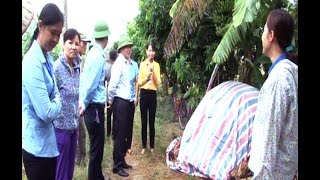 Hội Nông dân phường Yên Thanh: Tập huấn kỹ thuật mô hình xử lý rơm, rạ sau thu hoạch thành phân bón hữu cơ