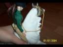 Breyer stop motion 