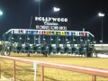 A Visit To The Charles Town Races