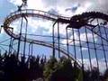 Python at Busch Gardens Africa
