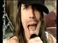 red hot chili peppers hump de bump
