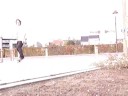 fools on boards